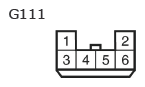 G11135341