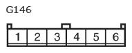 G11135350