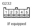 G11135361