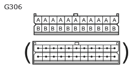 G11135373
