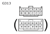 G11135380