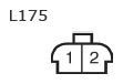 G11135481