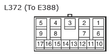 G11135517