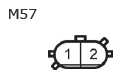 G11135544