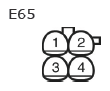 G11135621