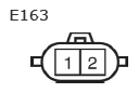 G11135631