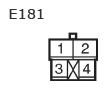 G11135637