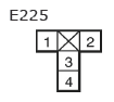 G11135646