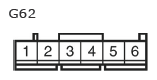 G11135686