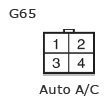 G11135689