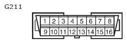 G11135700