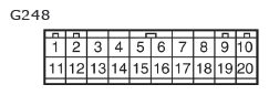 G11135702
