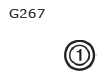 G11135711