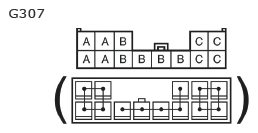 G11135716