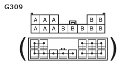 G11135718