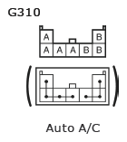 G11135719