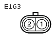 G11136034