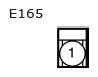 G11136036