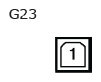 G11136053