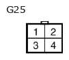 G11136055