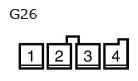 G11136056