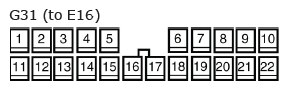 G11136060