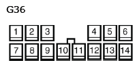 G11136064