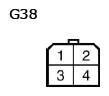 G11136065