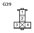 G11136066