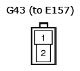 G11136068