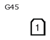 G11136070