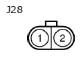 G11136094