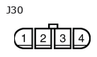 G11136096
