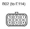 G11136156