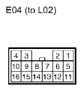 G11136216