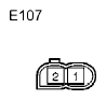 G11136256