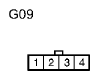 G11136315
