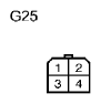 G11136328