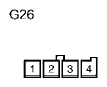 G11136329