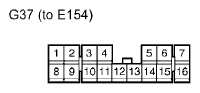 G11136338