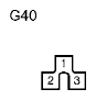 G11136341