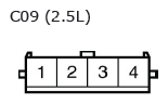 G11136448