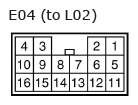 G11136513