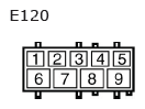 G11136553