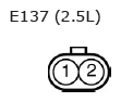 G11136566