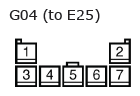 G11136613