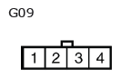 G11136616