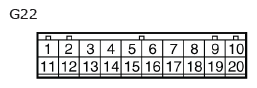 G11136621