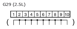 G11136624