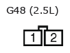 G11136638